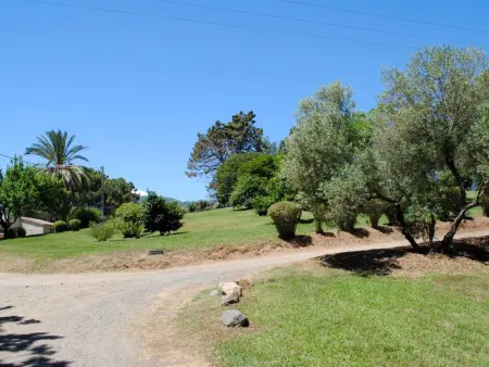 Villa récente avec vue mer à Cervione, animaux acceptés : photo 6