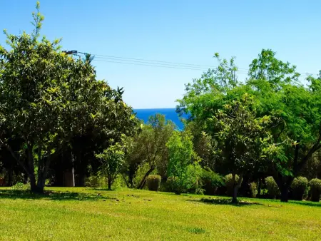Villa récente avec vue mer à Cervione, animaux acceptés : photo 8