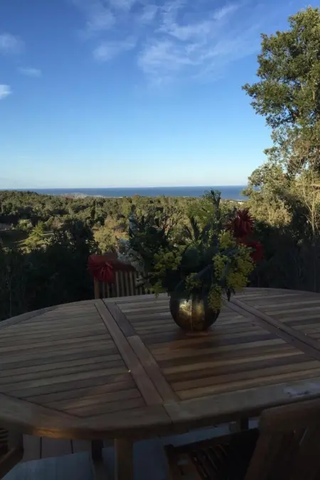 Villa récente avec vue mer à Cervione, animaux acceptés : photo 20