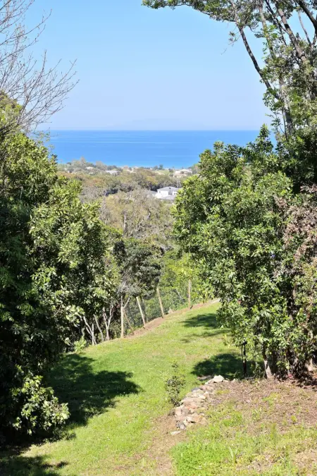 Villa récente avec vue mer à Cervione, animaux acceptés : photo 22