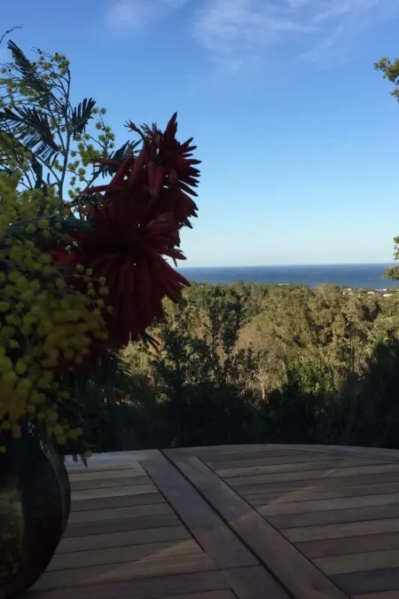 Villa récente avec vue mer à Cervione, animaux acceptés : photo 23