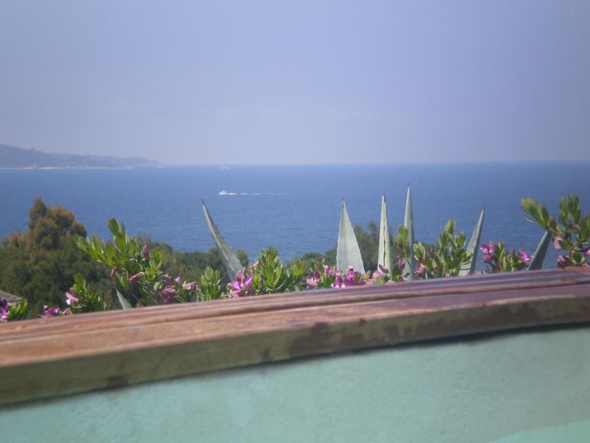 Appartement vue mer et piscine privée à Saint-Florent - Photo 8