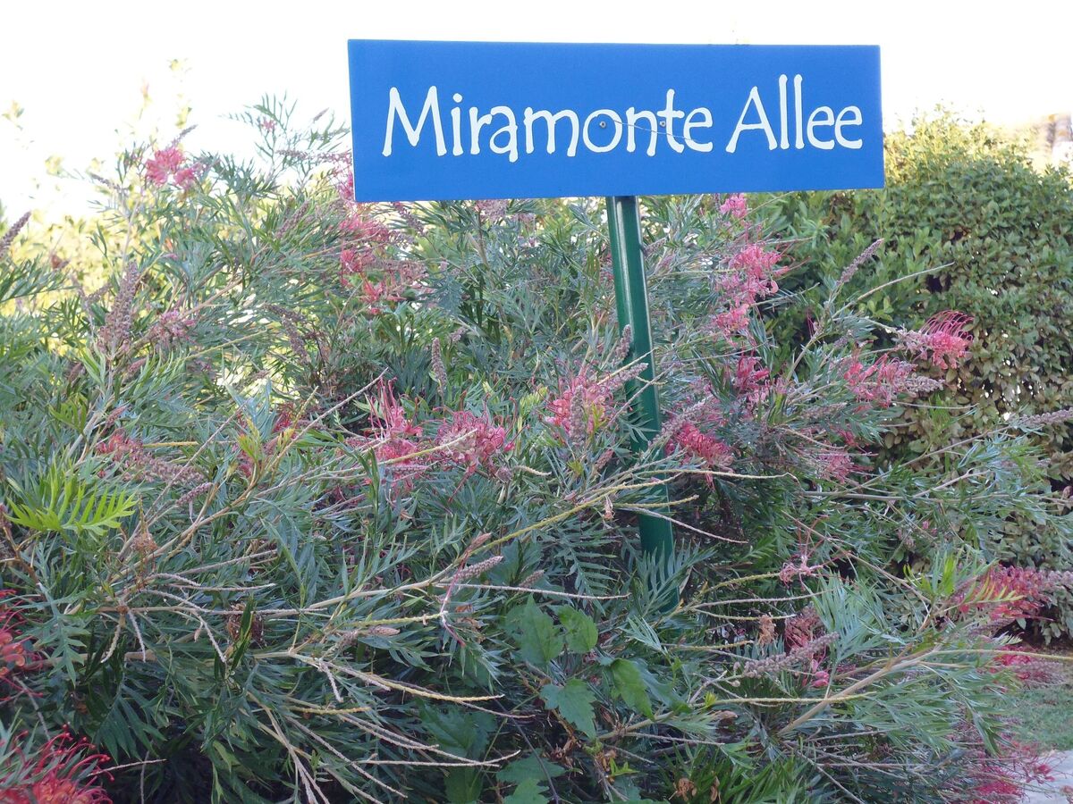 Villa Miramonte – Maison 6 pers. avec piscine à Folelli - Photo 5