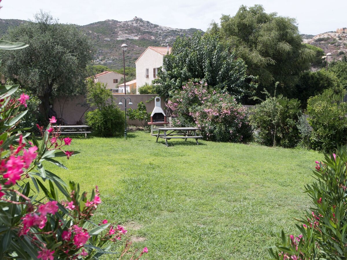 Alzu - Les Muriers, appartement 56 m² à Calvi - Photo 16