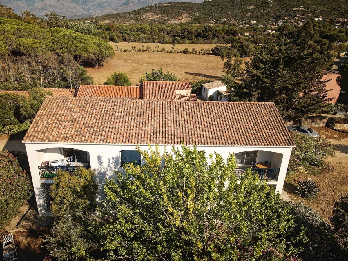 Pinu - Les Muriers, appartement 56m² à Calvi - Photo 26
