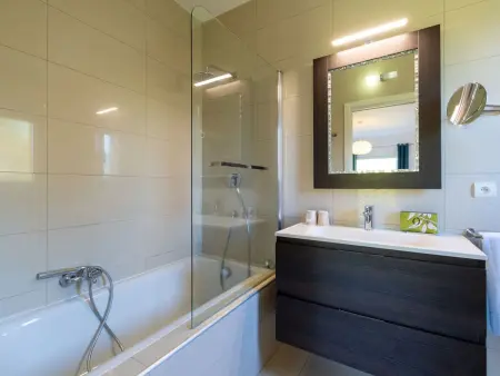 Maison 1 chambre avec piscine et spa à Calvi : photo 29