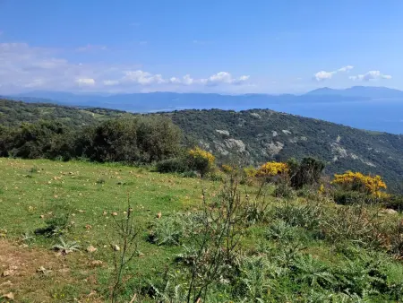 Casa Zinu – Maison vue mer à Cargèse : photo 13