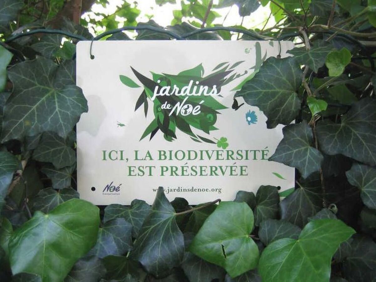 Gîte Bévau à Trampot : maison de charme avec petit-déj bio - Photo 22