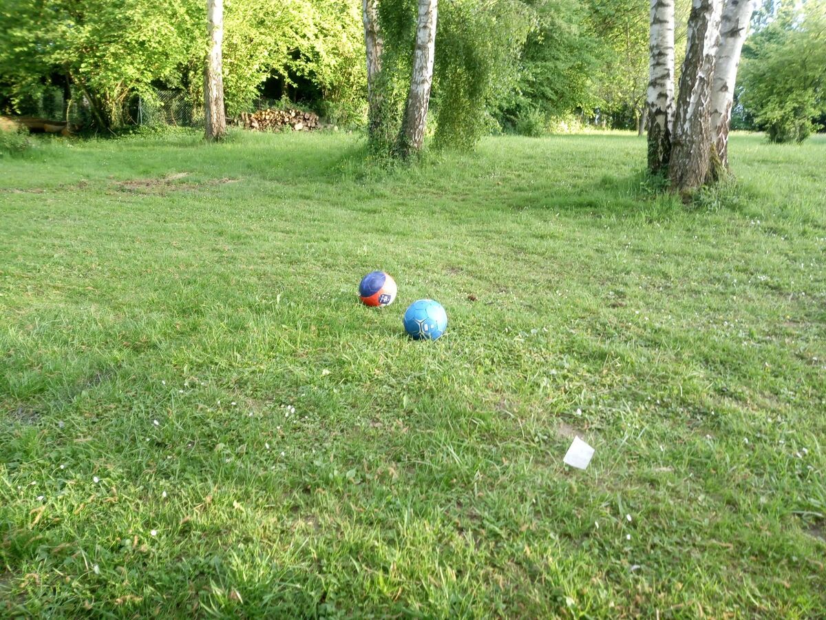 Villa 3 chambres, parc 6800m², à 20 min de Disneyland - Photo 9