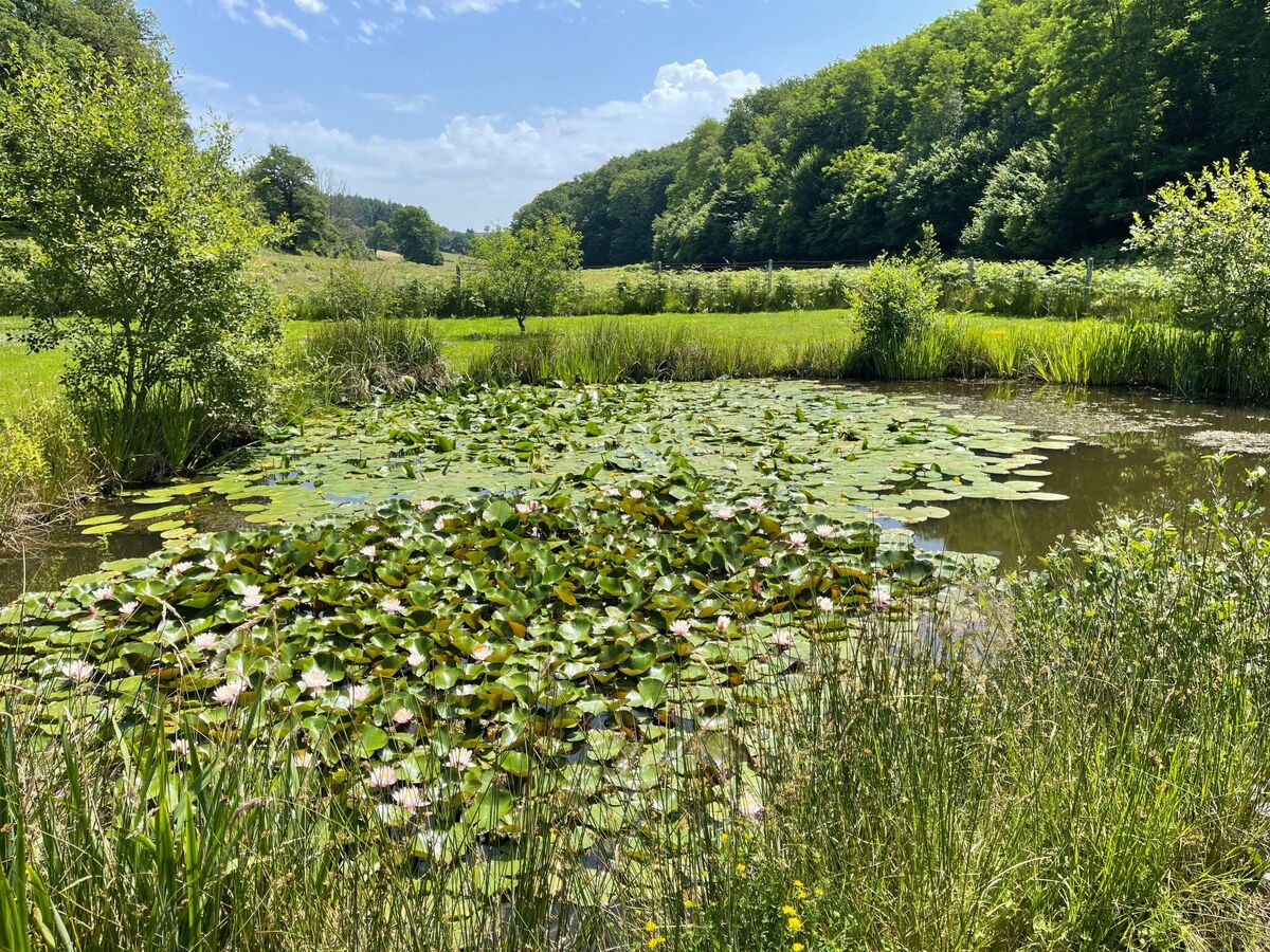 Maison avec étang privé à Montceau-les-Mines - Photo 27