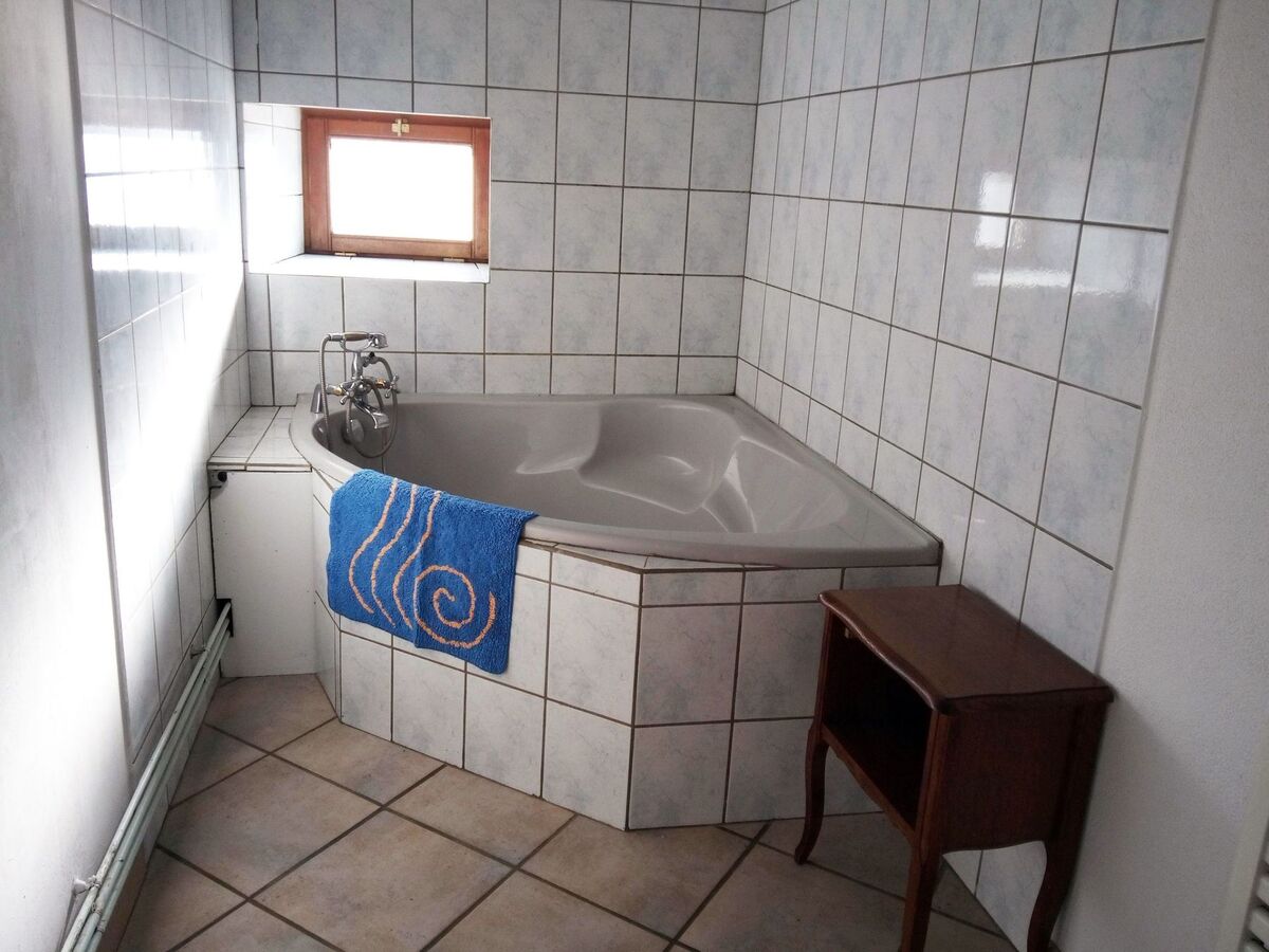 Le Bourdon bleu : maison 15 pers. avec jardin à Celles - Photo 5