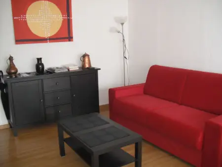 Appartement 1 chambre à Dijon, balcon sud près gare : photo 2