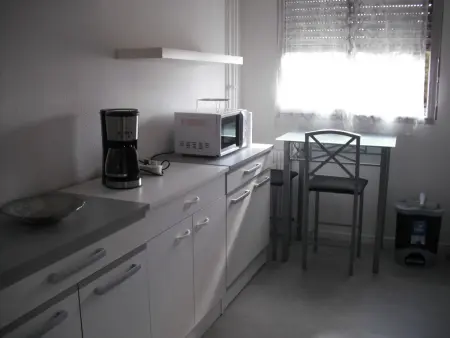 Appartement 1 chambre à Dijon, balcon sud près gare : photo 10