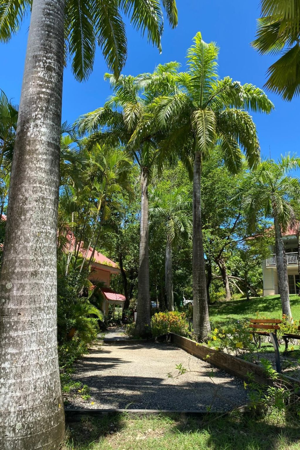 Studio vue mer Sainte-Anne, résidence sécurisée - Photo 26
