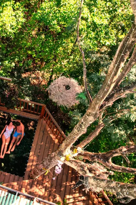 Location maison à Deshaies, Cabane Aux Etoiles Au Jardin des Colibris (Sternenhütte im Garten der Hummingbi