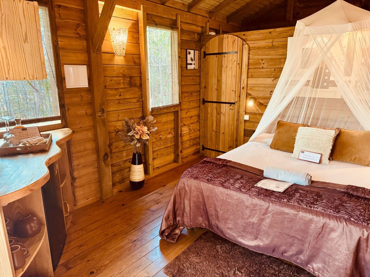 Nid des Colibris – Cabane insolite en forêt - Photo 10
