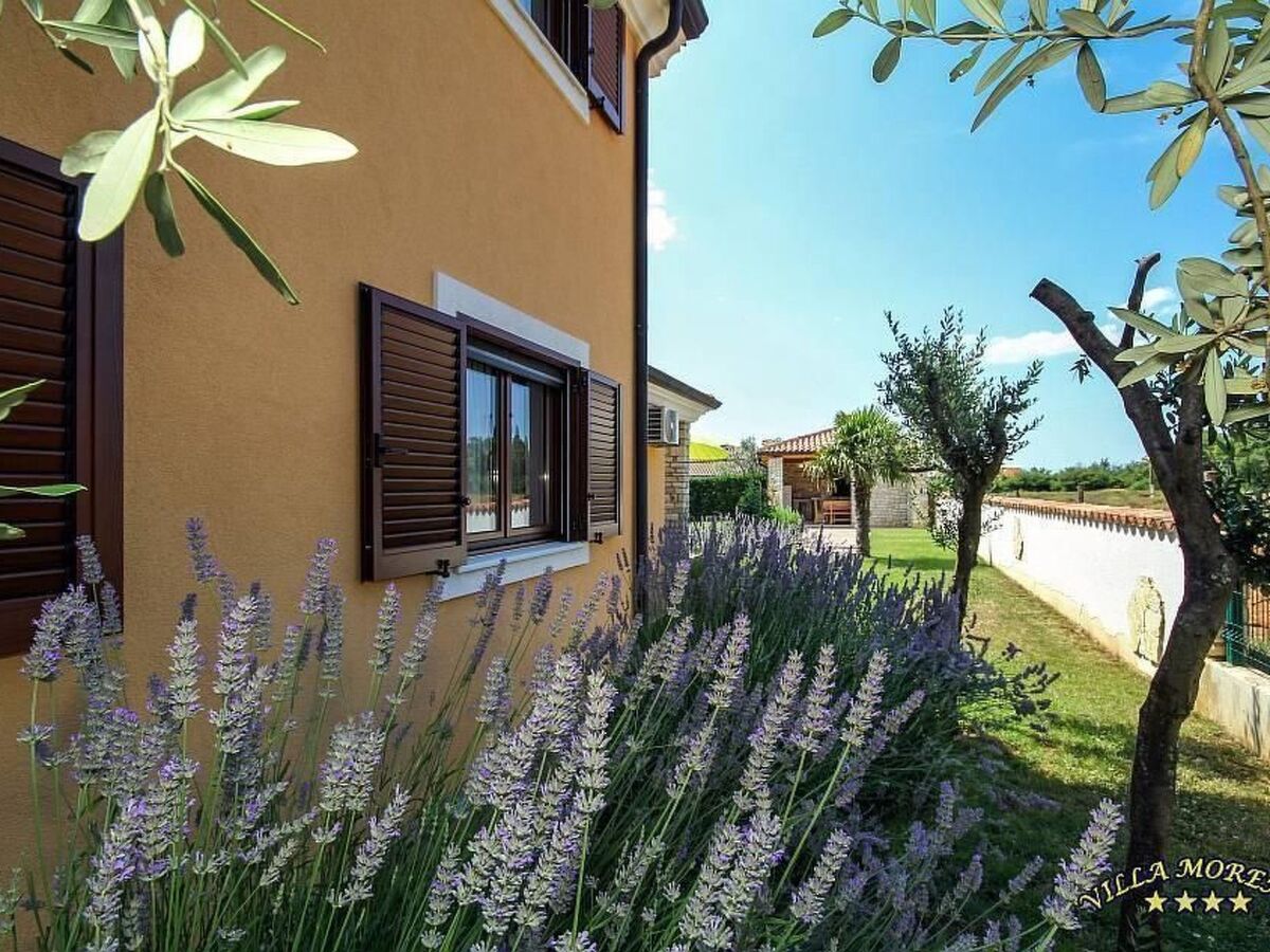 Villa Morena à Buje : maison 8 pers. avec piscine privée - Photo 33