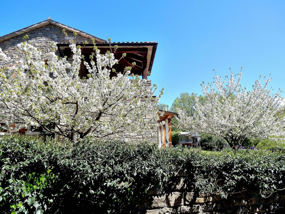 Maison Istrie avec piscine privée à Momjan - Photo 46