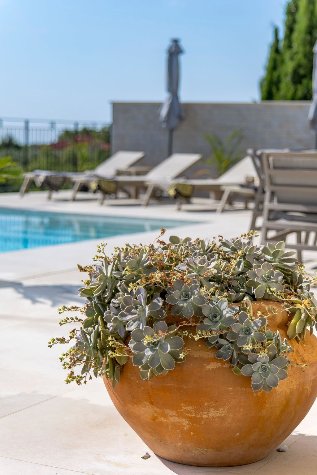 Villa Monte Bibali, 4 chambres avec infinity-pool à Buje - Photo 9