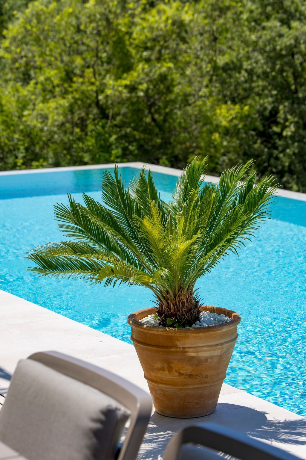 Villa Monte Bibali, 4 chambres avec infinity-pool à Buje - Photo 16