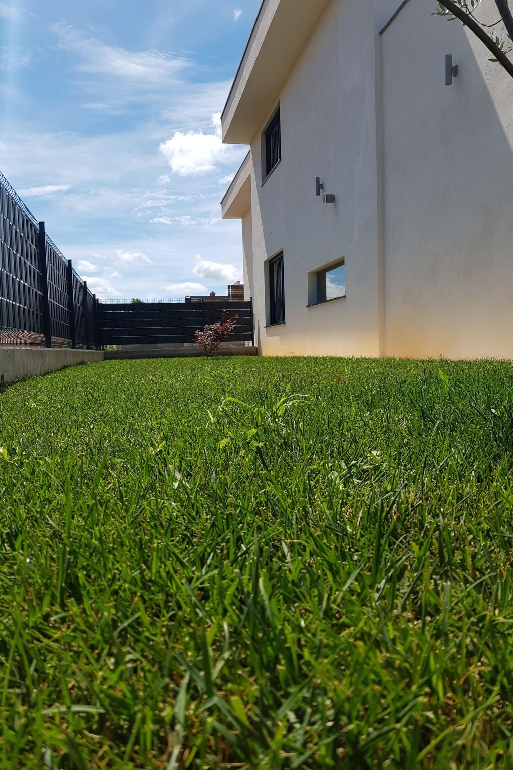 Maison 4 chambres avec piscine privée à Buje - Photo 26
