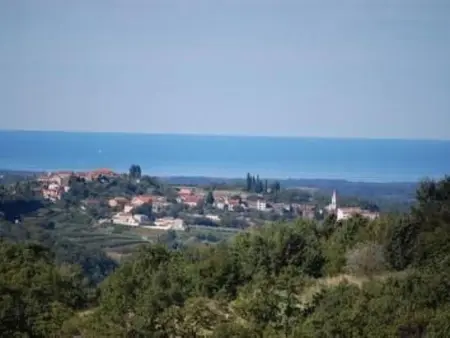 Villa Casa Sarina, maison en pierre en Istrie avec piscine privée : photo 4