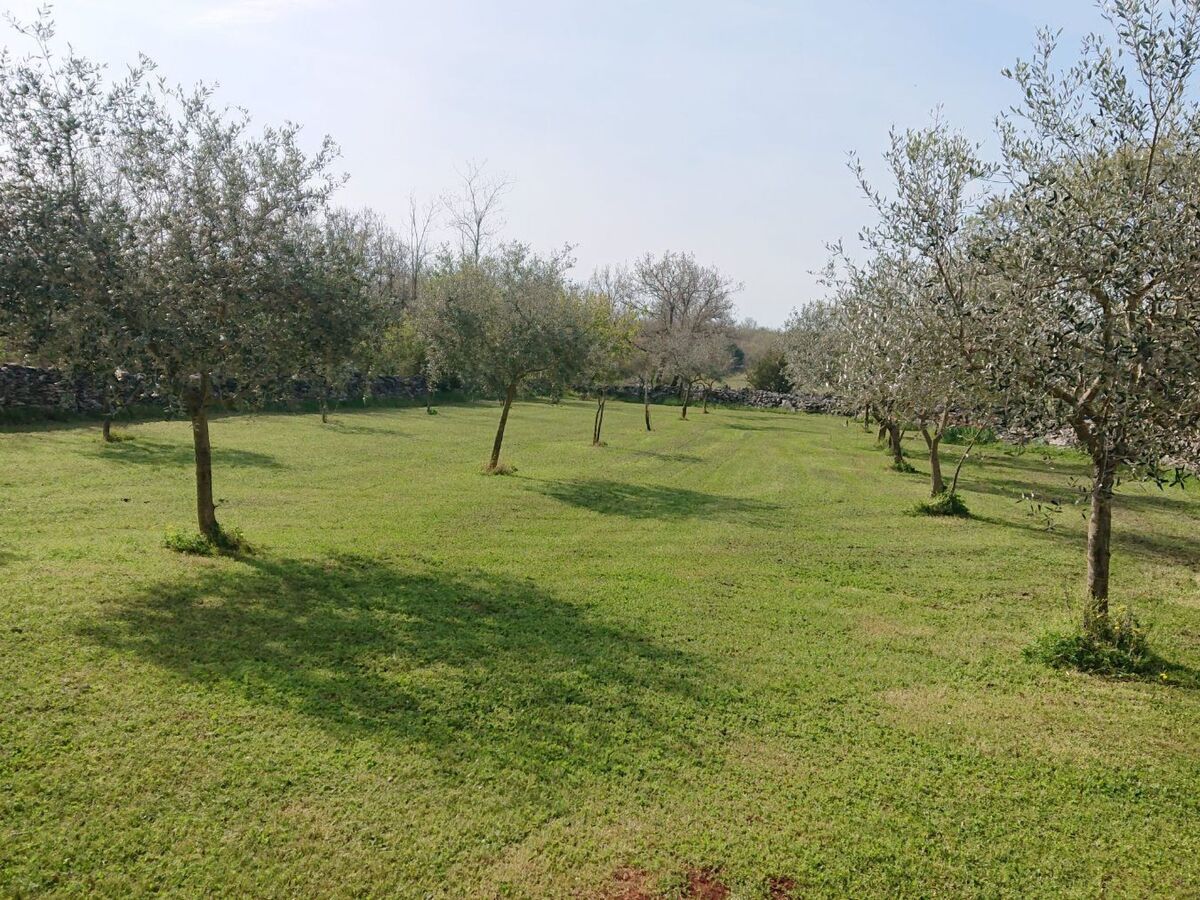 Maison forestière 1902 à Umag, 6 pers., parc privé 15000m² - Photo 46
