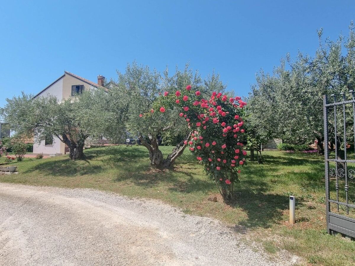 Studio Nadja 2 avec terrasse à 200 m de la plage - Photo 23