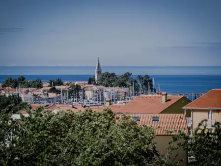Maison 3 chambres avec piscine privée à Novigrad : photo 10