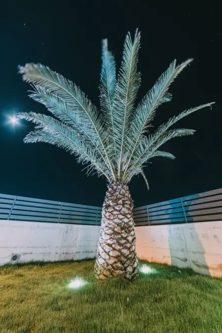 Maison 3 chambres avec piscine privée à Novigrad : photo 39