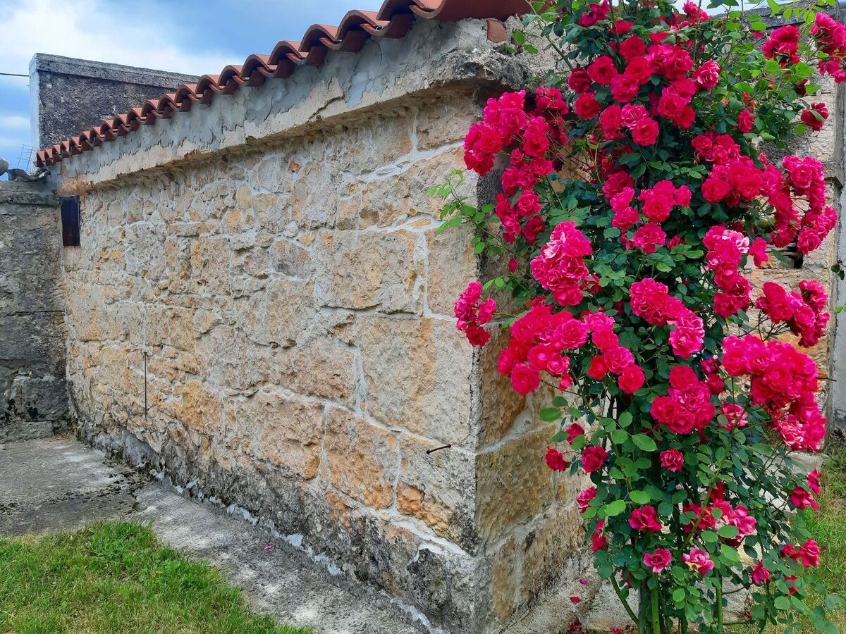 Maison en pierre d'Istrie avec piscine et grand jardin - Photo 18