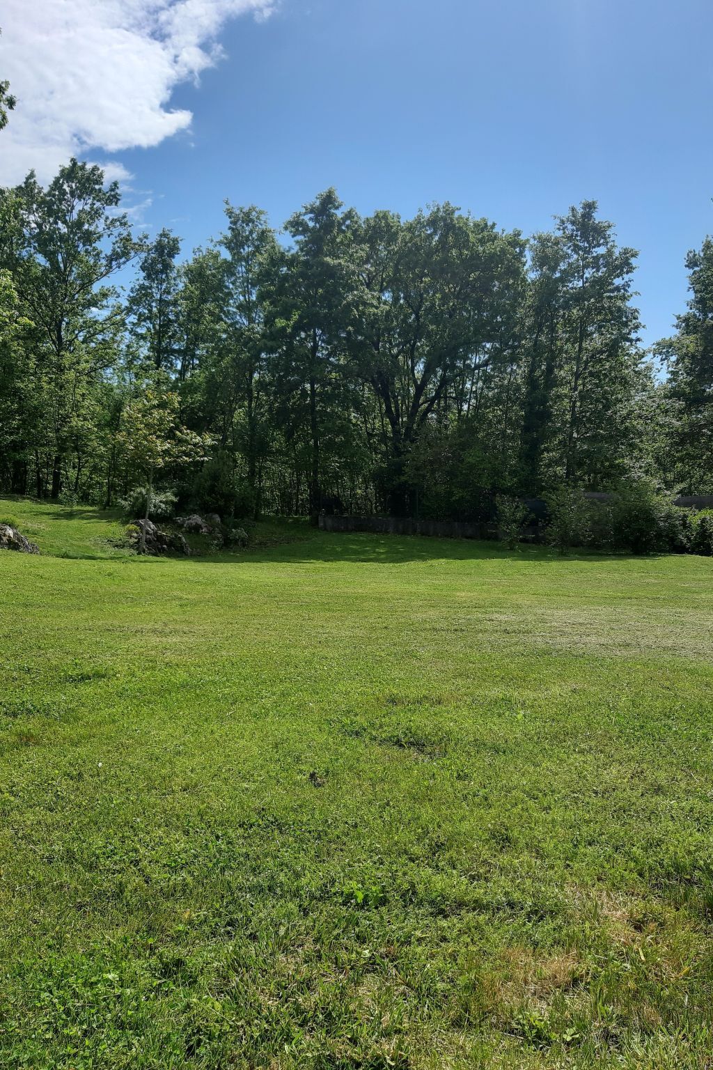 Maison en pierre d'Istrie avec piscine et grand jardin - Photo 46