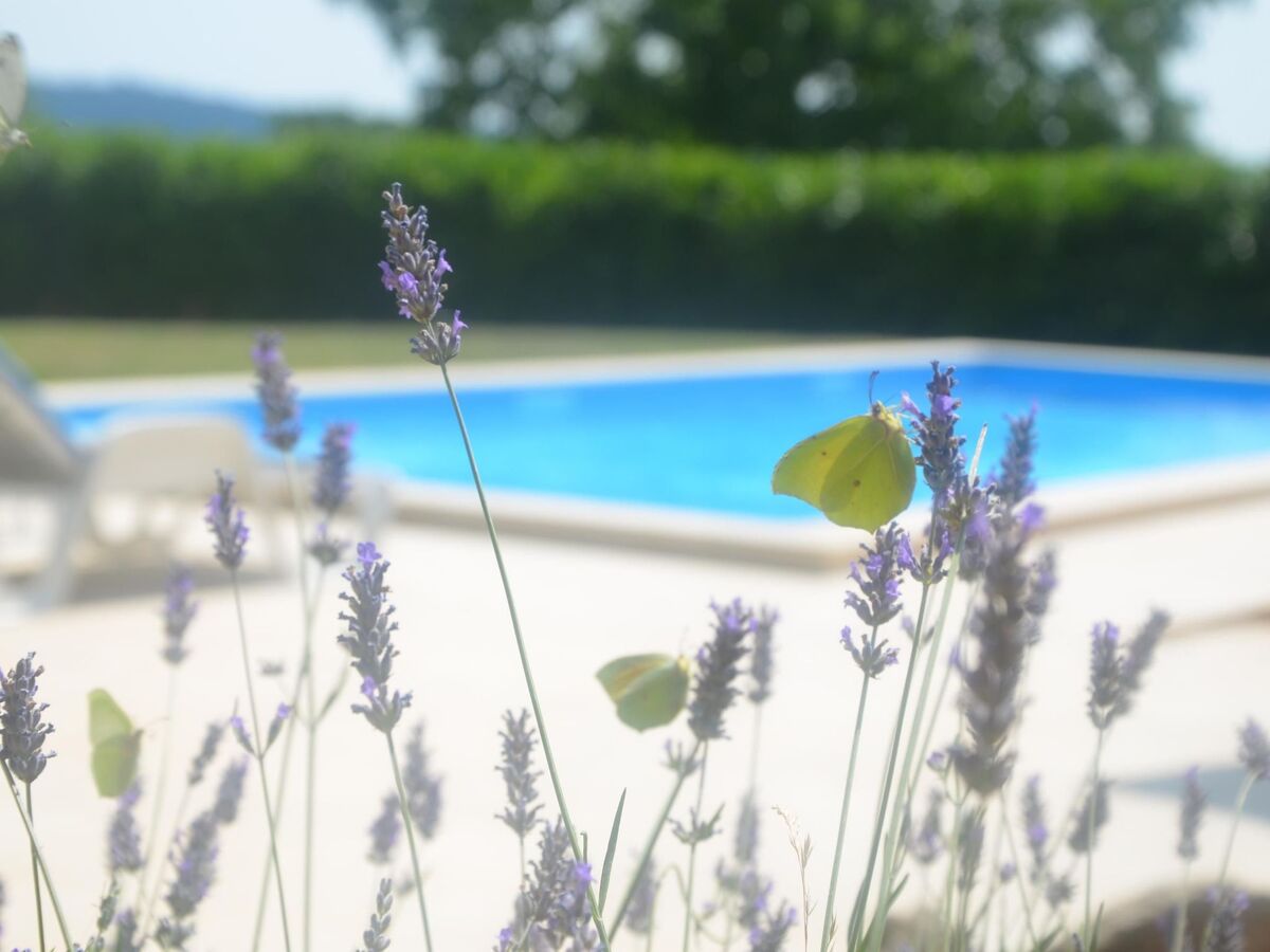 Villa Fragola avec piscine et vue sur les montagnes - Photo 8