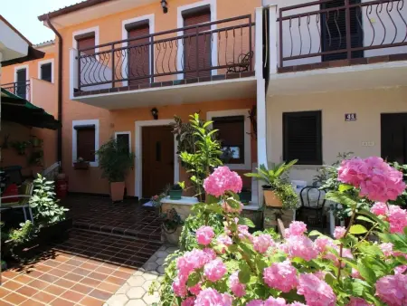 Maison Bella à Poreč : jardin privé et jacuzzi : photo 24