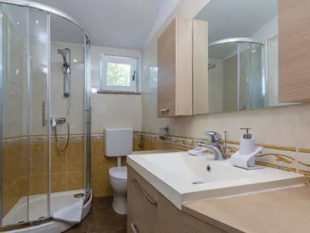 Maison moderne 10 pers., piscine privée à Tar : photo 29