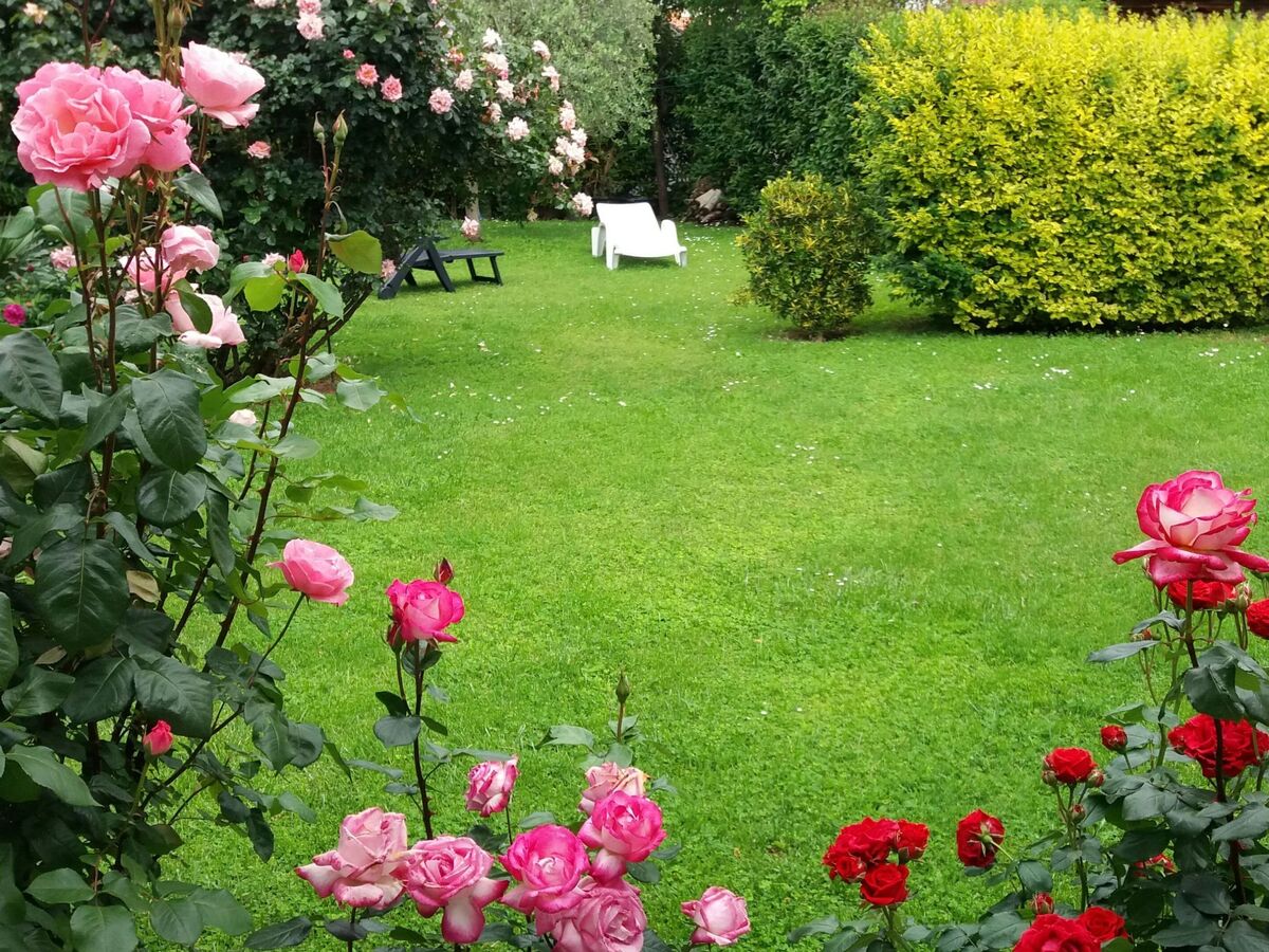 Bungalow indépendant Perla avec jardin et barbecue à Funtana - Photo 28
