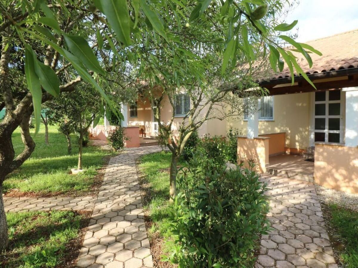 Maison Melisa 6 avec piscine à Dracevac - Photo 1