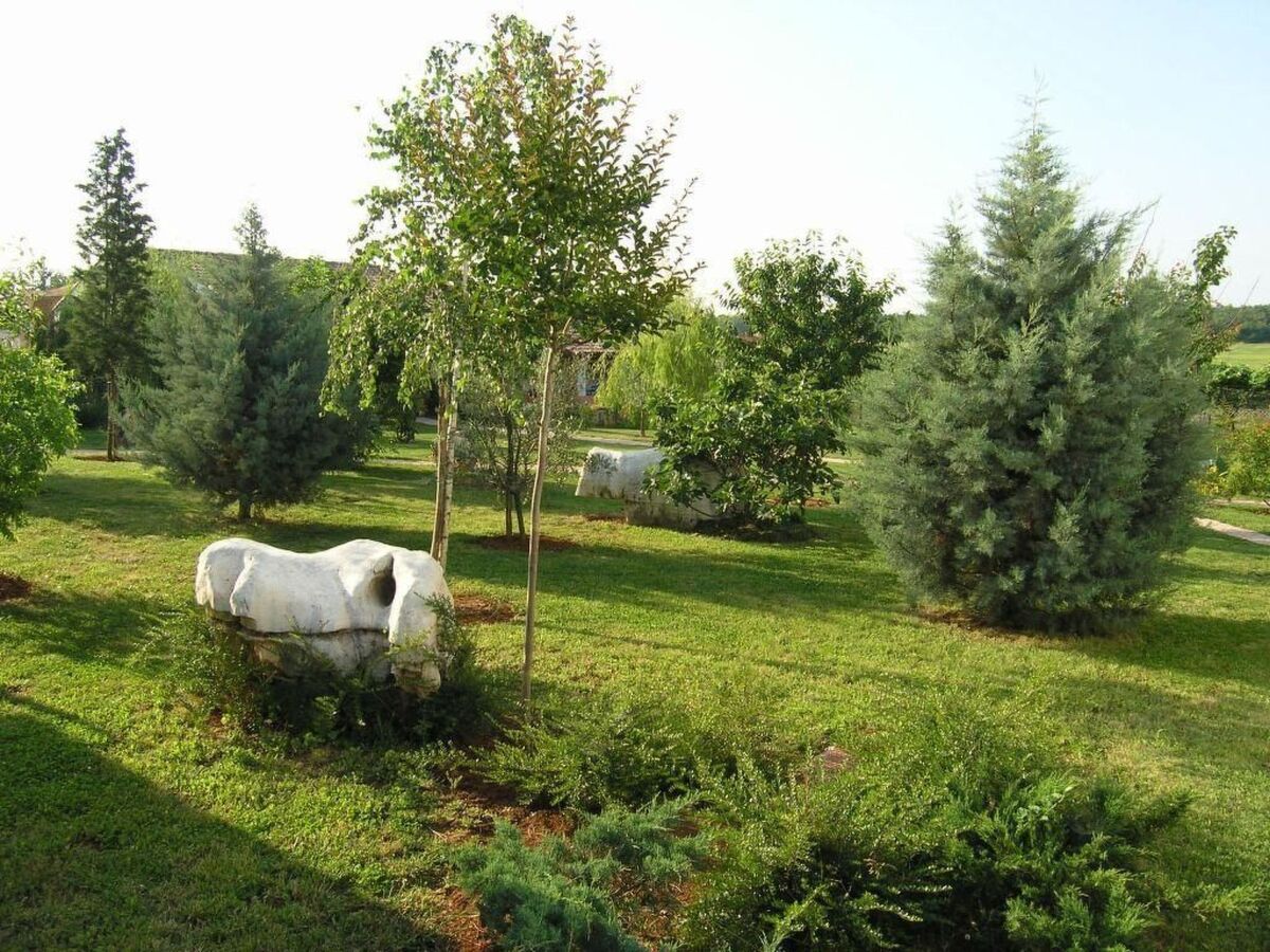 Maison Melisa 6 avec piscine à Dracevac - Photo 15