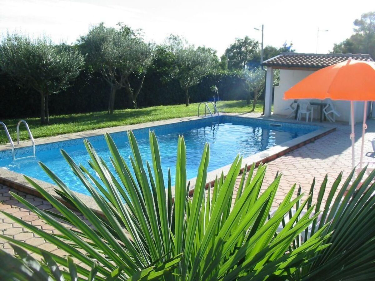 Lavanda 3 - Maison Varvari, 2 chambres avec piscine - Photo 4
