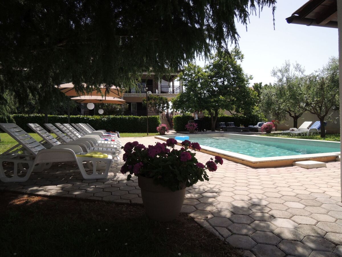 Maison Melisa 5 à Dracevac, piscine et jardin - Photo 20
