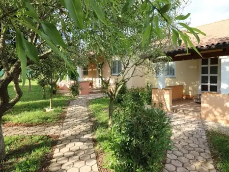 Maison Melisa 5 à Dracevac, piscine et jardin