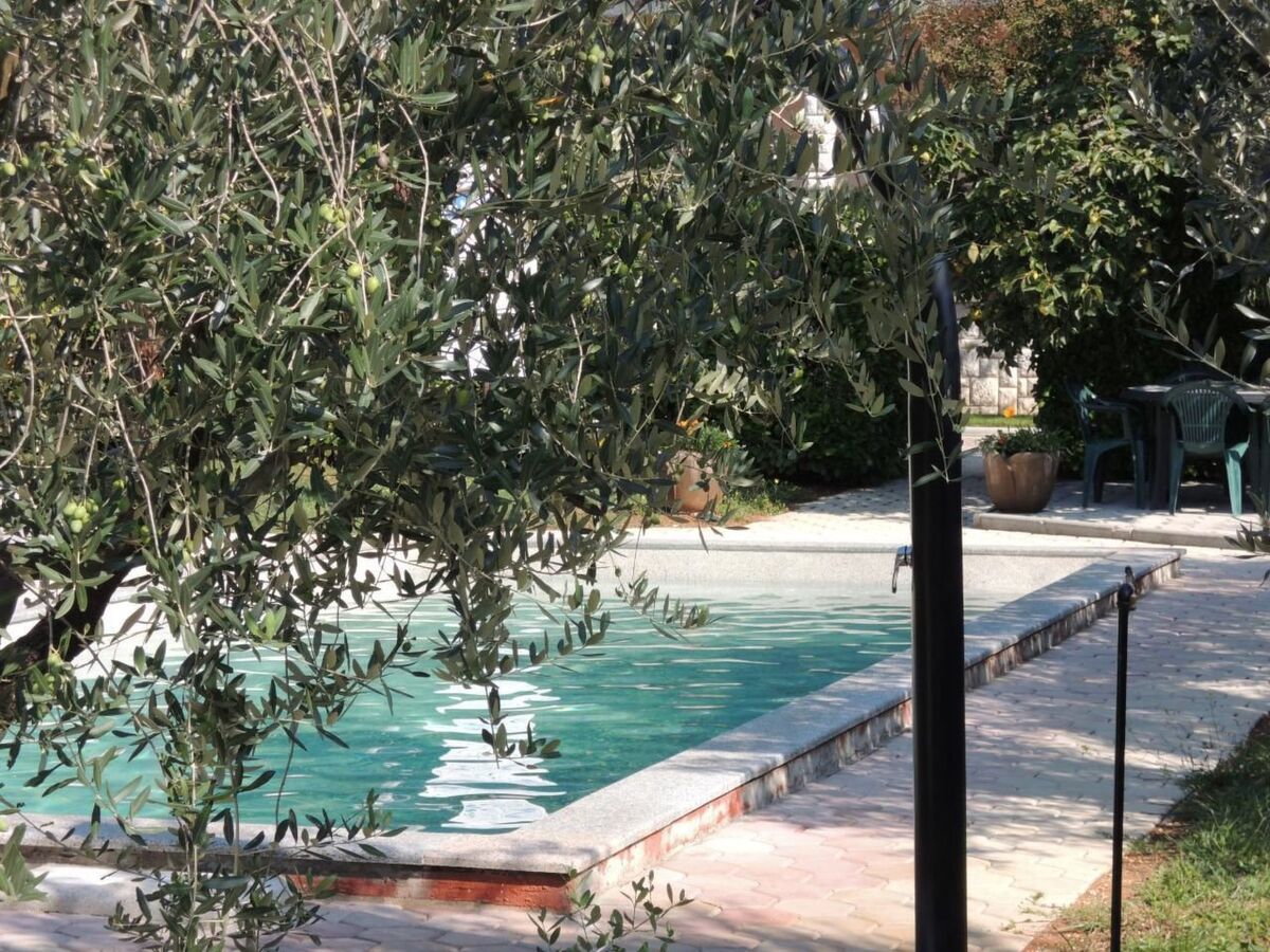 Bungalow Melisa 7 à Dracevac, piscine et jardin - Photo 24