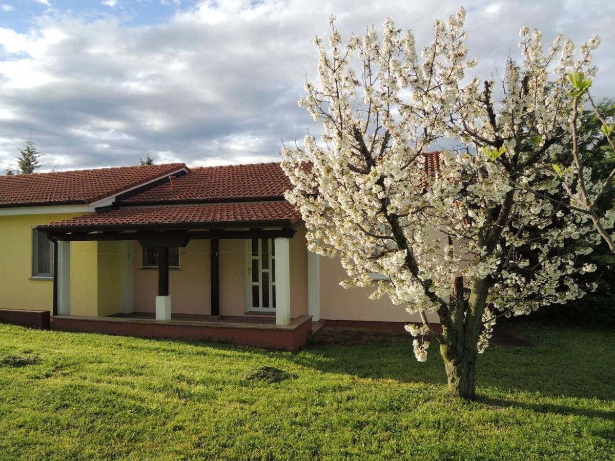 Bungalow Lavanda avec piscine à Dracevac - Photo 6