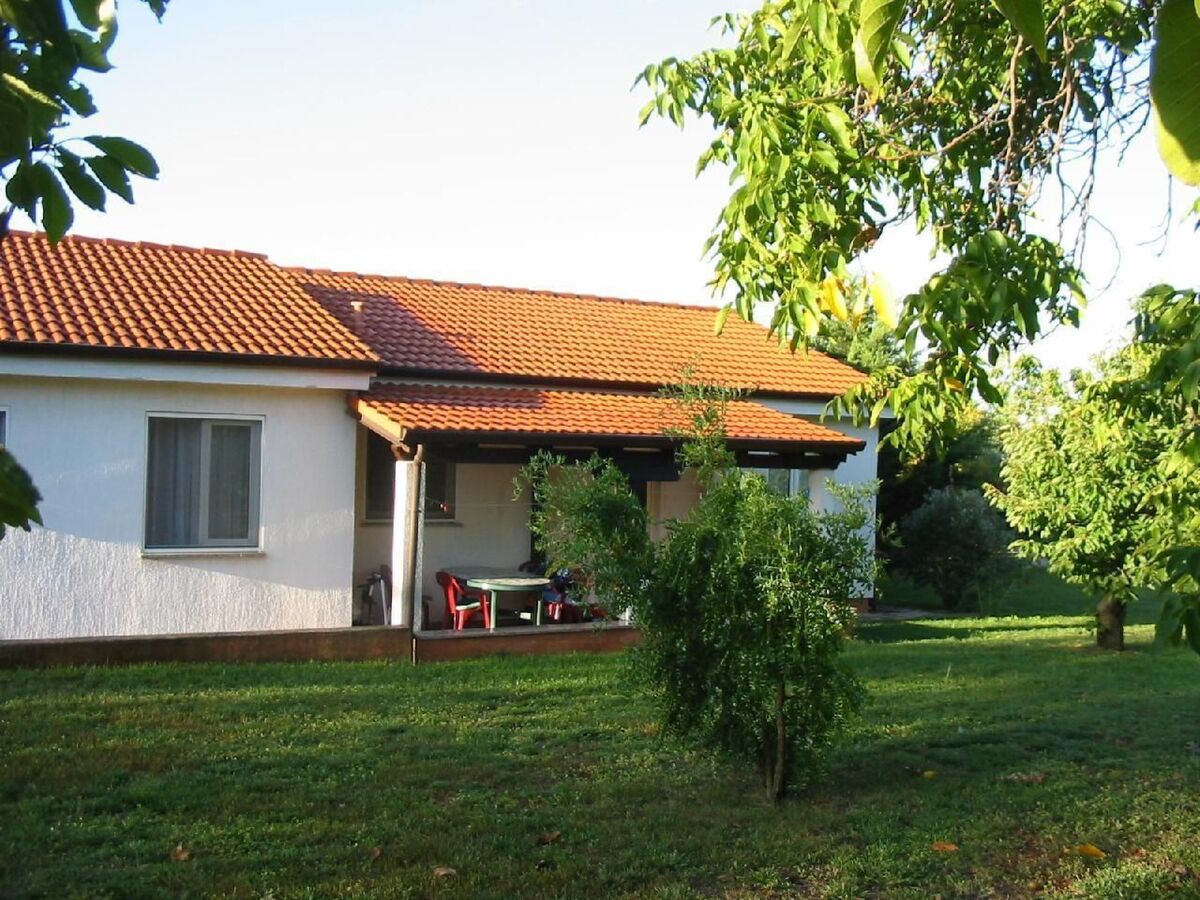 Bungalow Lavanda avec piscine à Dracevac - Photo 7