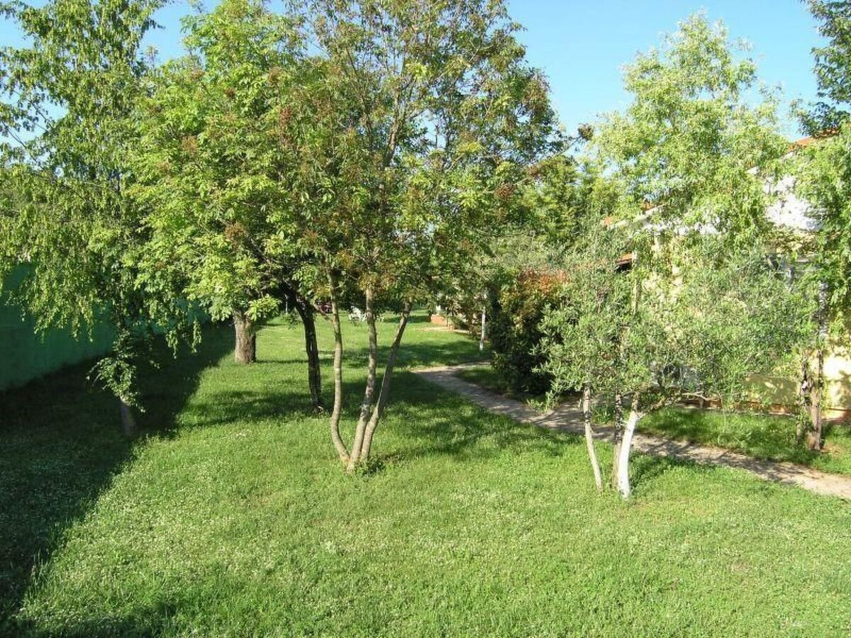 Bungalow Lavanda avec piscine à Dracevac - Photo 8