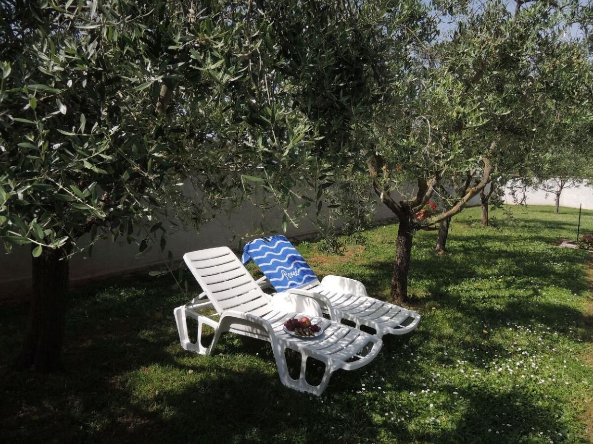 Bungalow Lavanda avec piscine à Dracevac - Photo 13