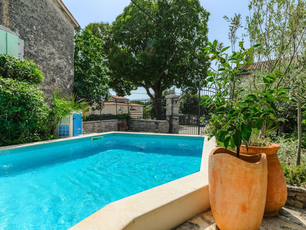 Villa Annette à Dracevac : maison 3 chambres avec piscine - Photo 10