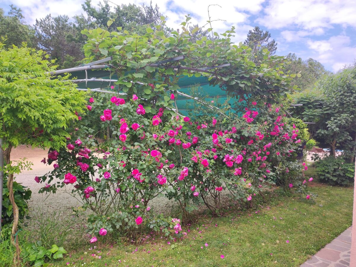 Valmonida, maison 8 pers. avec piscine privée près de Cere - Photo 5