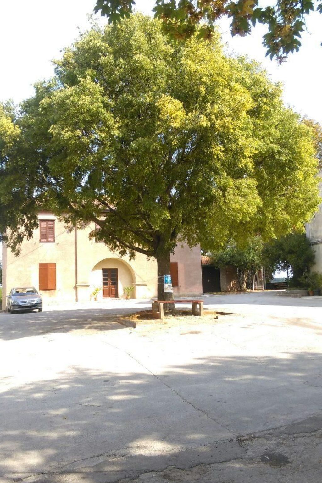 Villa Cala : maison istienne avec piscine privée à Cere - Photo 38