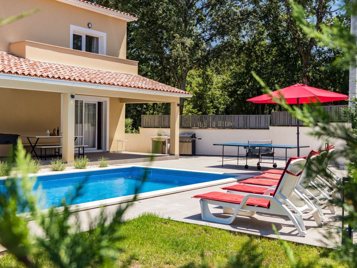 Villa Bokordici avec piscine privée, 4 chambres - Photo 4